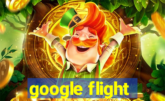 google flight