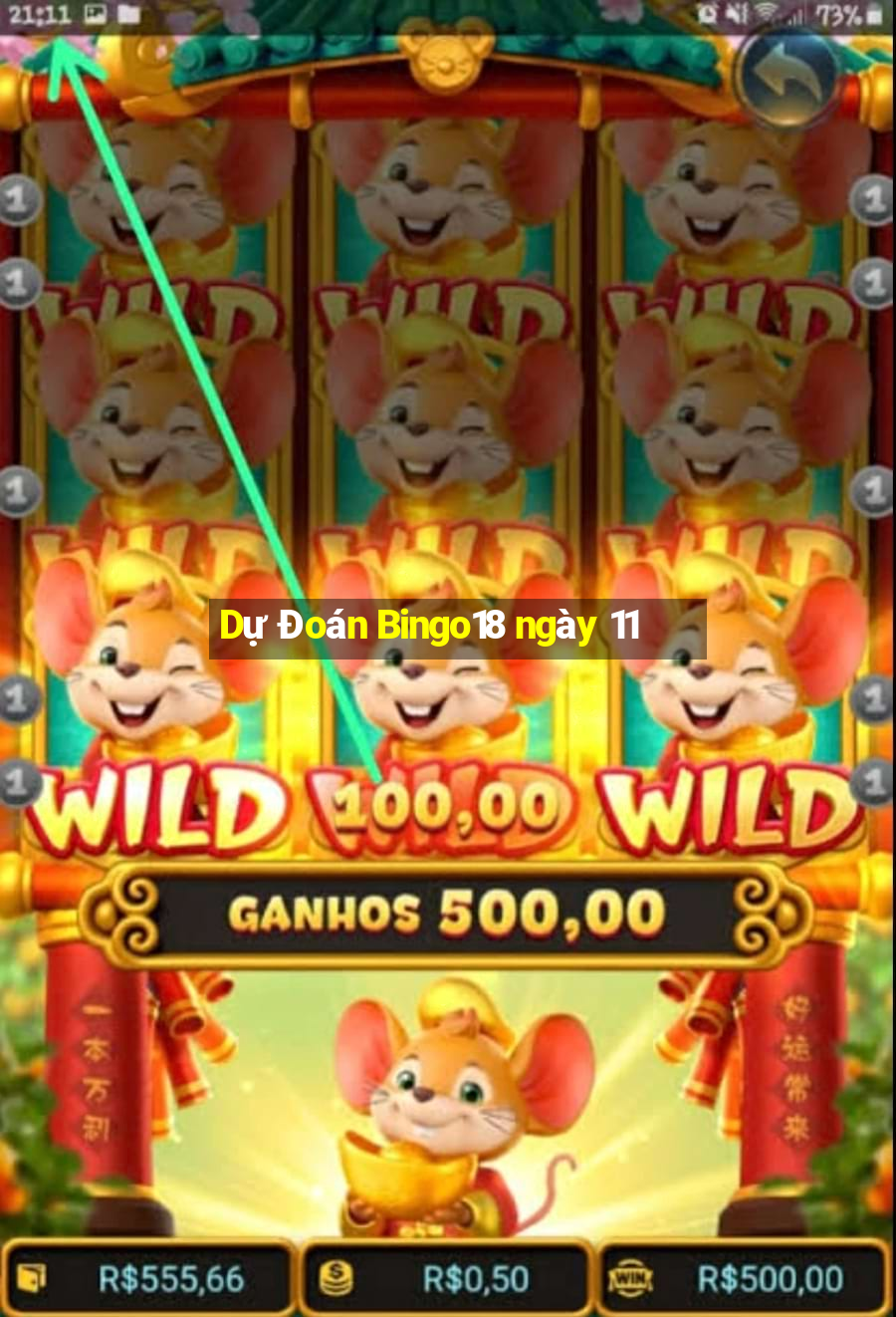 Dự Đoán Bingo18 ngày 11