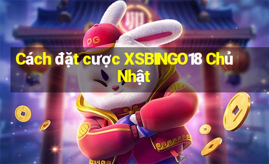 Cách đặt cược XSBINGO18 Chủ Nhật