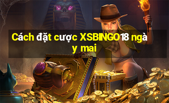 Cách đặt cược XSBINGO18 ngày mai