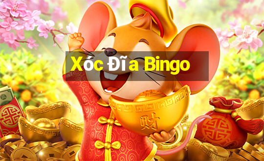 Xóc Đĩa Bingo