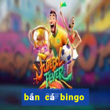 bắn cá bingo ông trùm