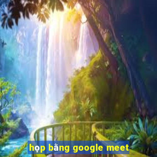 họp bằng google meet